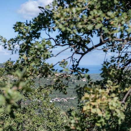 Velanis Ηouse, Style Into Nature - Secluded Киссамос Экстерьер фото