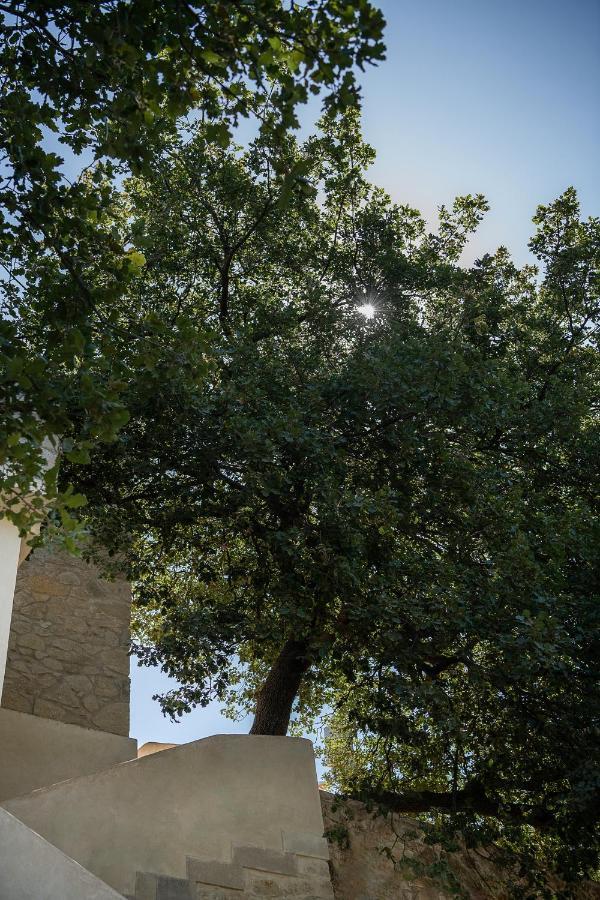 Velanis Ηouse, Style Into Nature - Secluded Киссамос Экстерьер фото